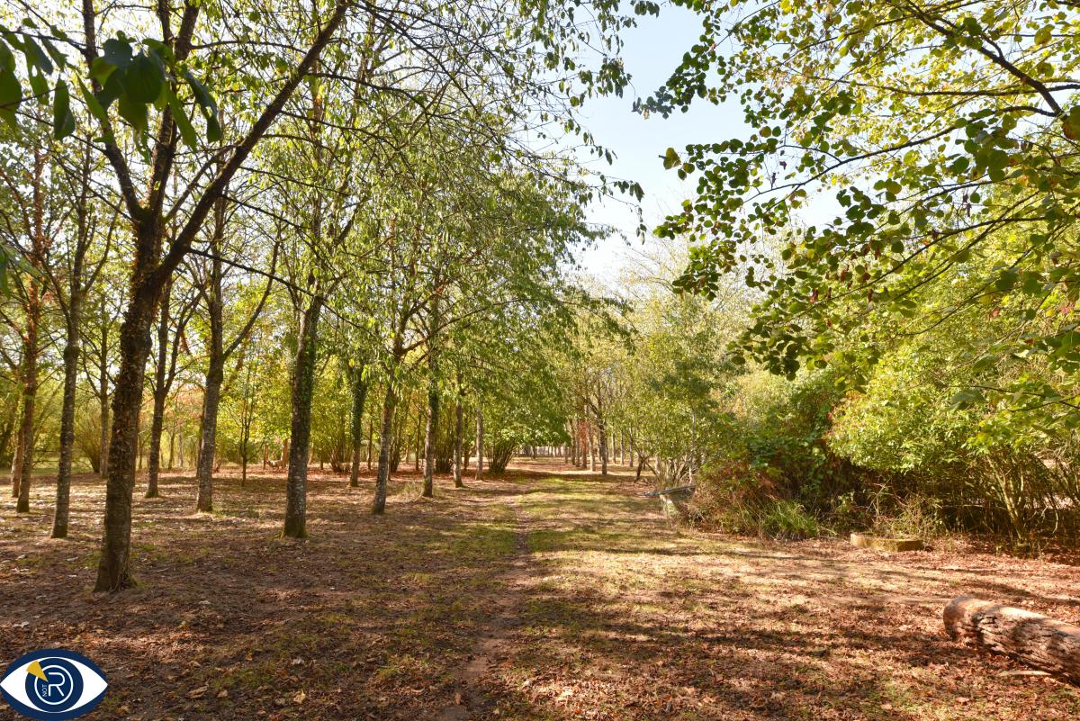 Terrain de loisirs avec étang, cabanon et arbres matures – Environ 2,9 hectares