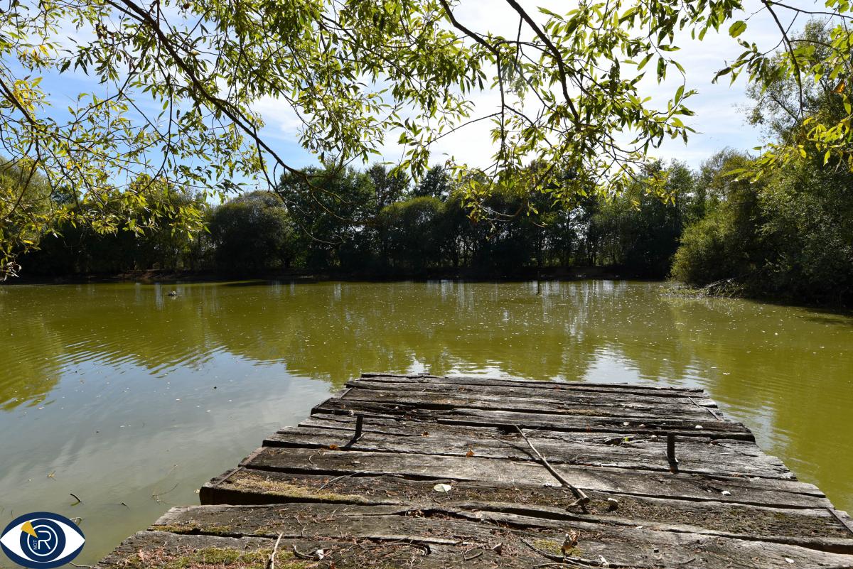 Terrain de loisirs avec étang, cabanon et arbres matures – Environ 2,9 hectares