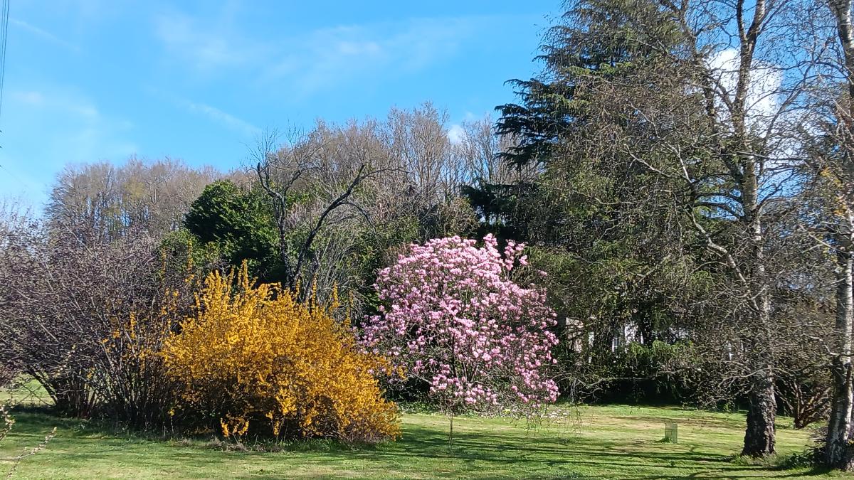 A VENDRE SUR LA COMMUNE DE ROUILON