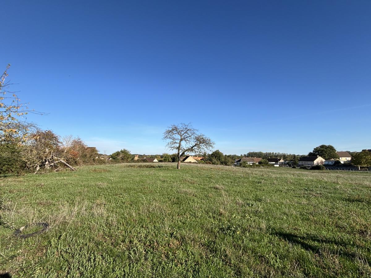 Exclusivité: Saint Aubin de Locquenay terrain constructible 12210 m²