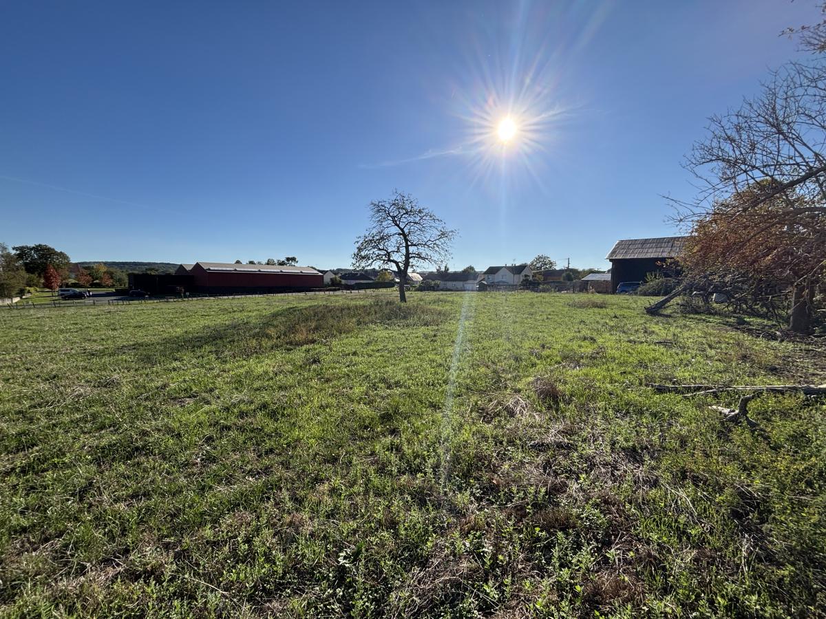 Exclusivité: Saint Aubin de Locquenay terrain constructible 12210 m²