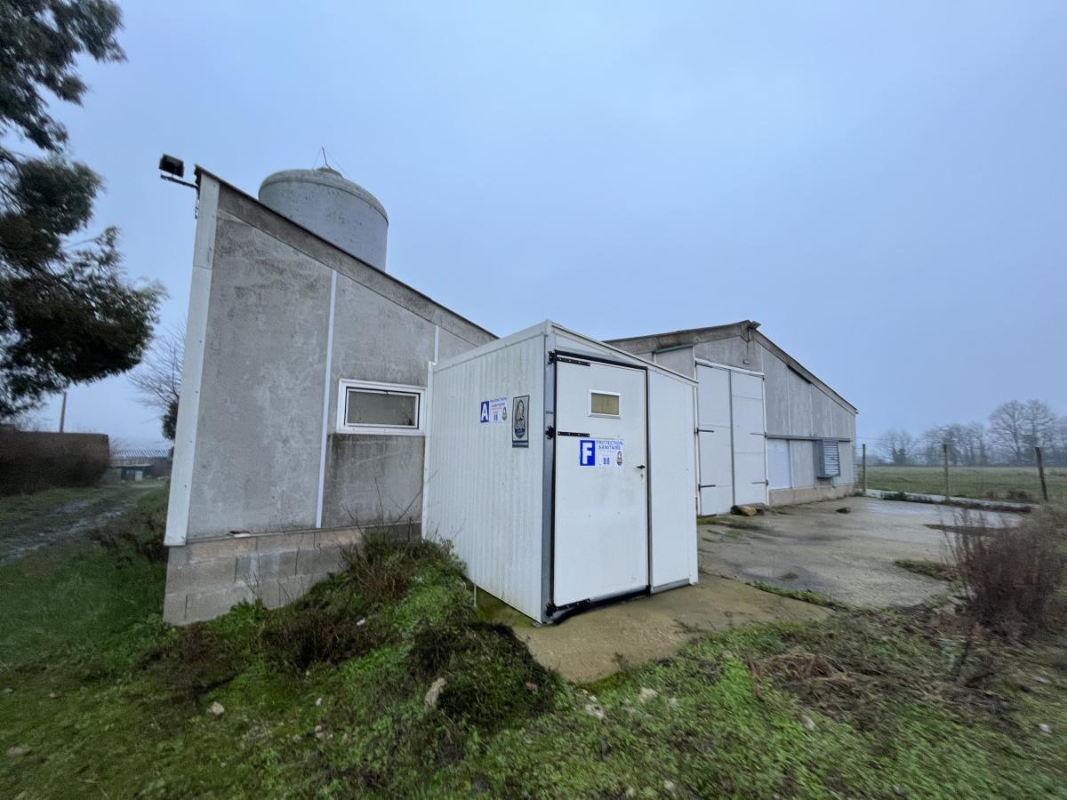 A VENDRE - BOUCHAMPS LES CRAON - ANCIENS CANARDIER ET HANGAR