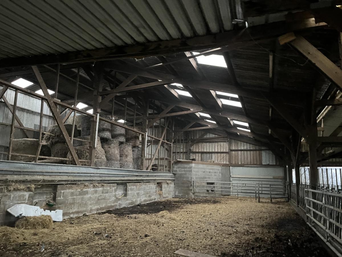 A VENDRE - BOUCHAMPS LES CRAON - ANCIENS CANARDIER ET HANGAR