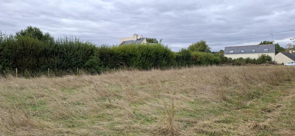 TERRAIN