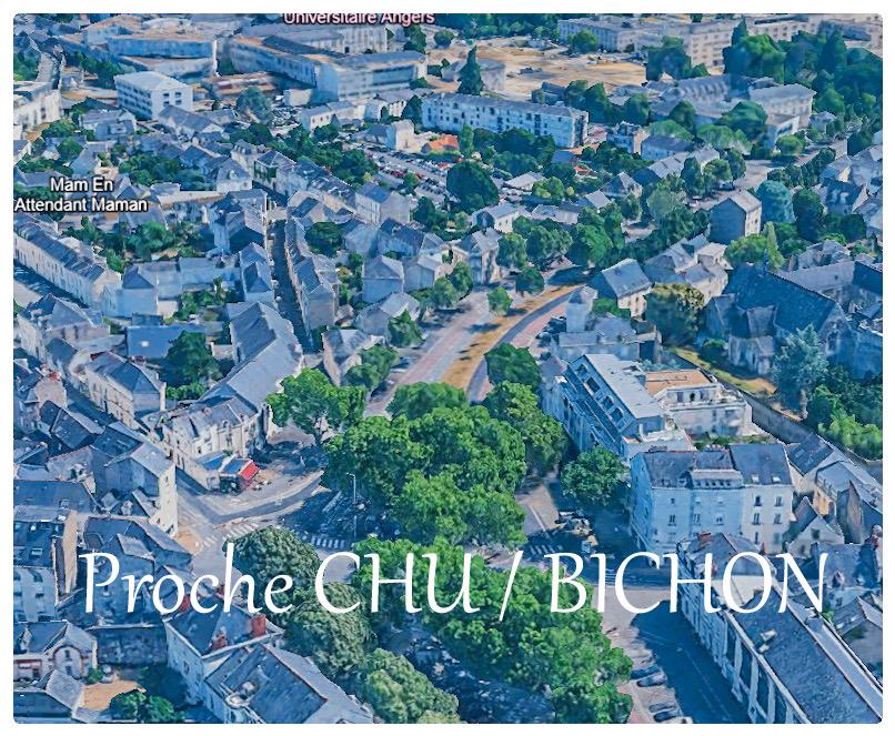 DOUTRE / PLACE BICHON Maison ancienne avec locataire en place