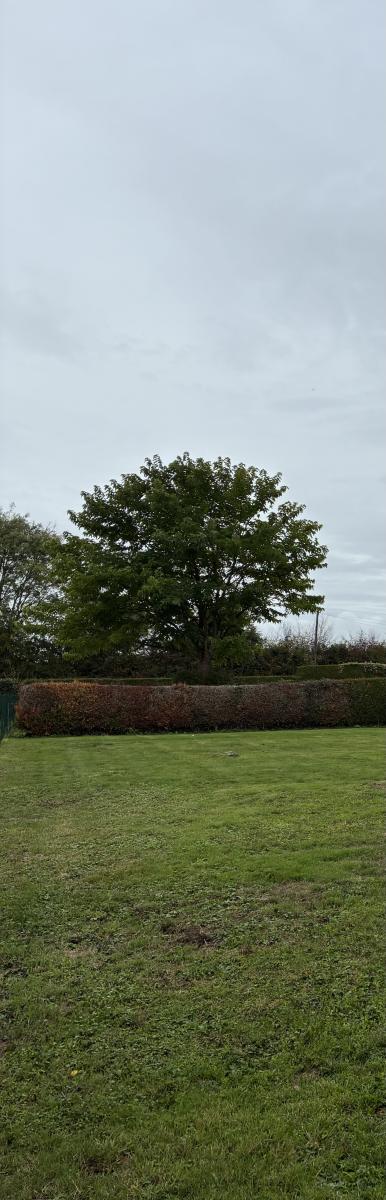 Situé à proximité du bourg