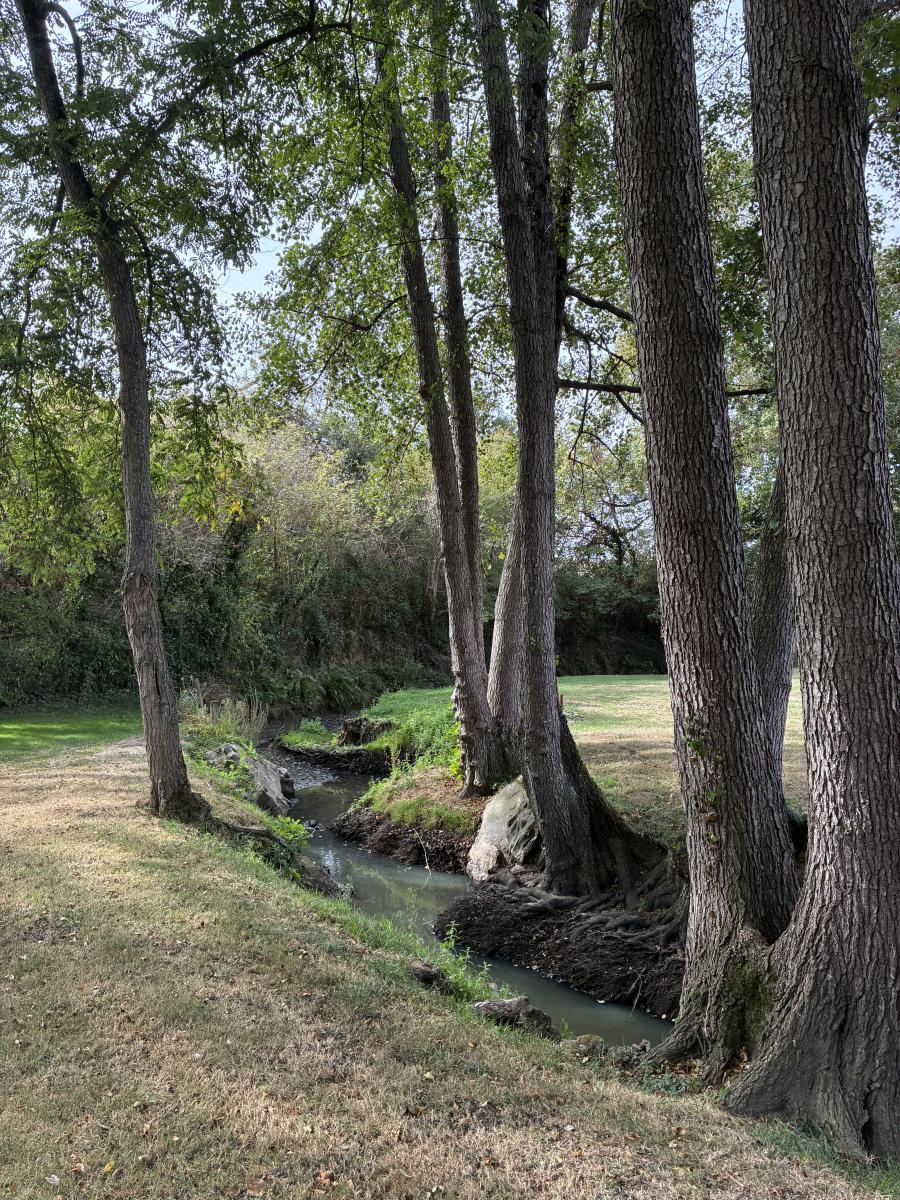 Nichée dans un écrin de verdure