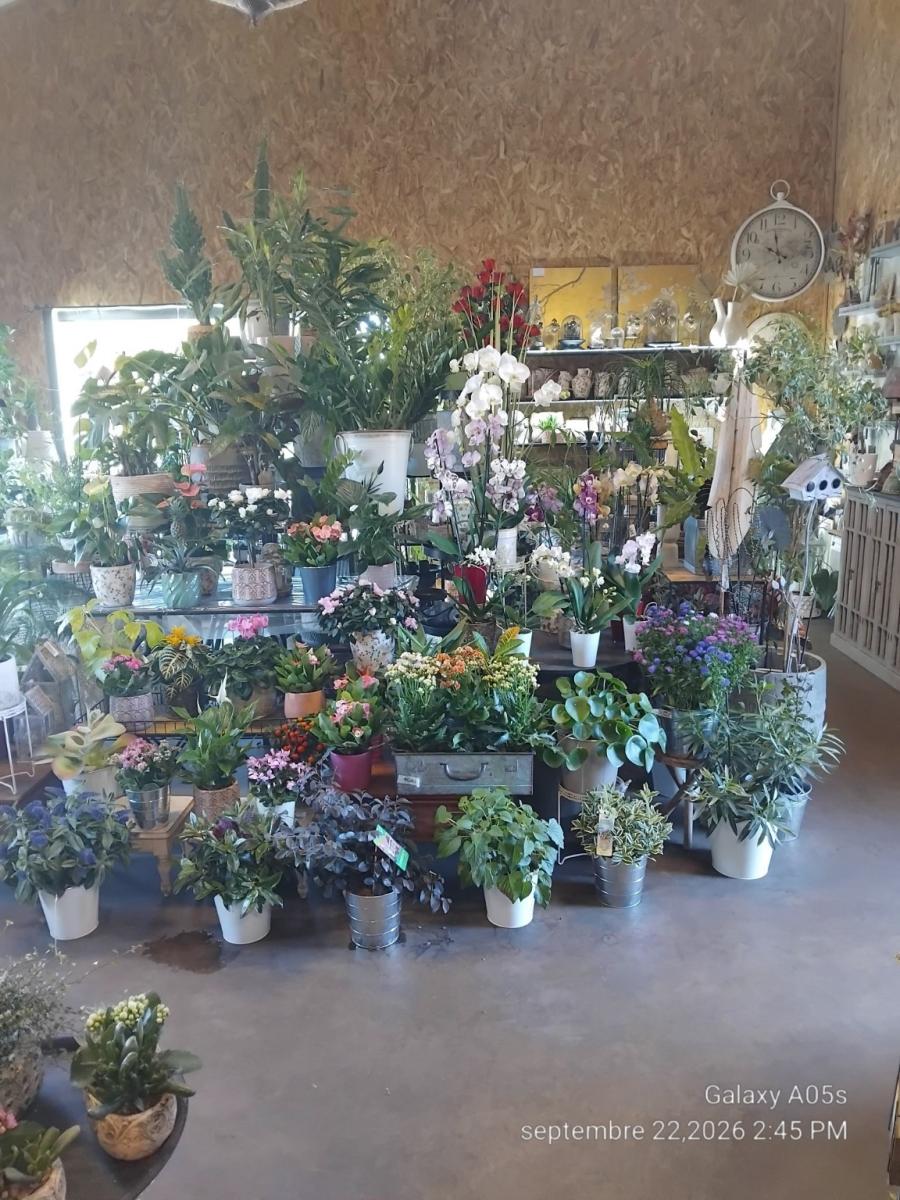 VENTE DE FONDS DE COMMERCE DE VENTE DE FLEURS
