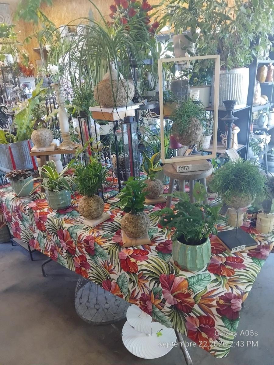 VENTE DE FONDS DE COMMERCE DE VENTE DE FLEURS